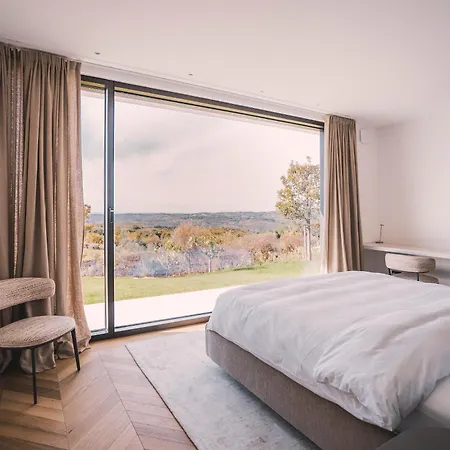 Amazing Alma Infinity Pool, Padel Court, Jacuzzi Villa Vizinada