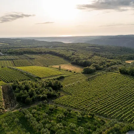 Villa Amazing Alma Infinity Pool, Padel Court, Jacuzzi Vizinada